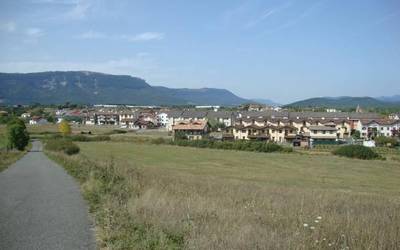 Arbizu eta gizonezkoak