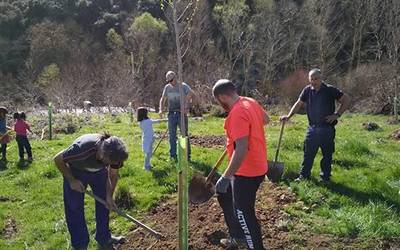Bi egiteko Zuhaitzaren Egunean