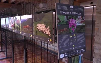 Mendi larreen erabilera eta kontserbazioari buruzko erakusketa, Anduetza Parketxean ikusgai