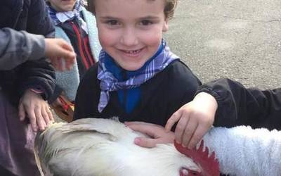 Usadioari eutsiz, oilar harrapatzea egin dute Arraiozen Orakunde Egunean