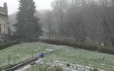[BIDEOA] Urkiola bisitatu du elurrak
