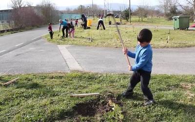 Zuhaitzak landatu dituzte Dulantziko eskolako umeek, aldaketa klimatikoaren kontra