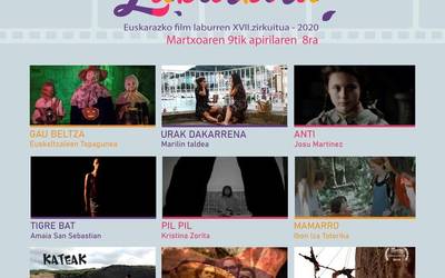 Euskarazko zinema berria, Laburbiran