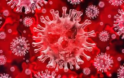 Zientzia Fakultateak streaming bidez emango du "Un par de verdades sobre el coronavirus" berbaldia, 12:00etatik aurrera