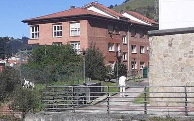 Etxeko animaliak zaintzeko gomendioak zabaldu dituzte