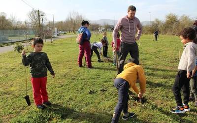 Dulantziko ikasleen zuhaitz landatzea, iruditan
