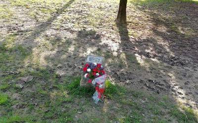 Loreak, Pasaiako sarraskia gogoratzeko