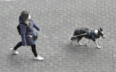 Noiz arte iraungo du isolamenduak?