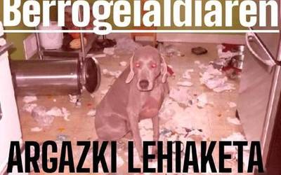 Berrogeialdian argazki lehiaketa antolatu du Azkoitiko Mintzalagunek