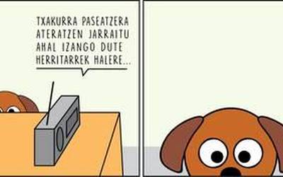 Enoken zinta, txakurrarekin kalera ateratzeko aukeraz