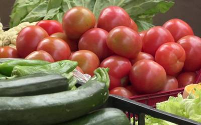 Ordiziako eta Beasaingo azokako produktuak erosteko bide berriak