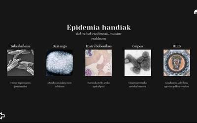 Epidemien historia munduan