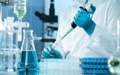 Nafarroako egoiliar eta profesionalei test azkarrak egiten hasi zaizkie