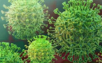 Positibo berririk ez Zumaian