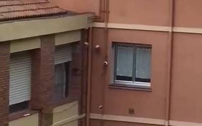Maskota ere txaloka