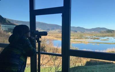 Egunero zuzeneko saioak egiten ari dira Urdaibai Bird Centerretik