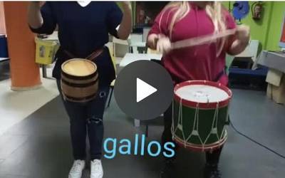 Helduen danborradarako entsegua: 'Gallos'