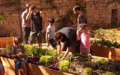 Ekologistak Martxan-ek kritikatu du Gobernuaren Ordezkaritzak galaraztea baratze ez profesionaletan ereitea eta landatzea