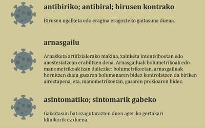 Euskaltzaindiak koronabirusaren oinarrizko lexikoa plazaratu du
