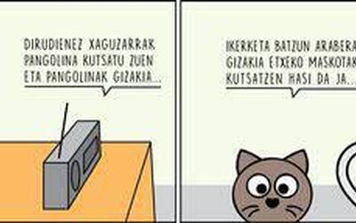 Katu-kate trofikoa, Enoken zintan