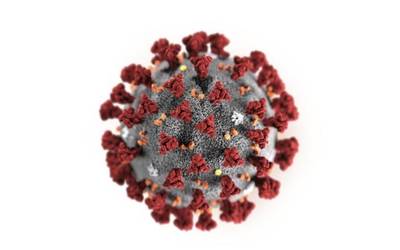 Beste egun batez, positibo berririk ez Azkoitian