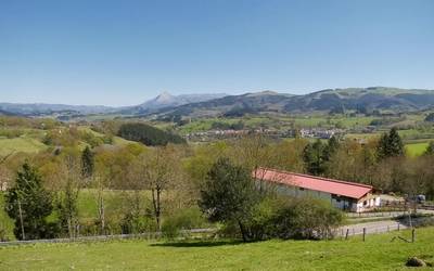 Igo egin dira kasu positibo berriak Goierrin: guztira 143 dira orain COVID 19 kasu konfirmatuak