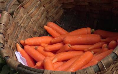 Lazkaoko udalak asteroko azoka berriro ere martxan jartzeko baimena eman du