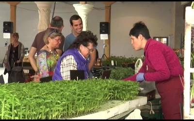 Ez da azokarik egingo Beasainen