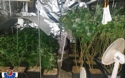 Hiru lagun atxilotu dituzte Aian, droga trafikoa egotzita