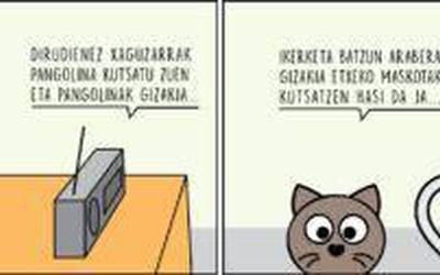 Katu-kate trofikoa, Enoken zintan