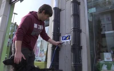 Aretxabaletako Udalak animaliak edukitzeari buruzko ordenantza modu parte hartzailean eguneratuko du