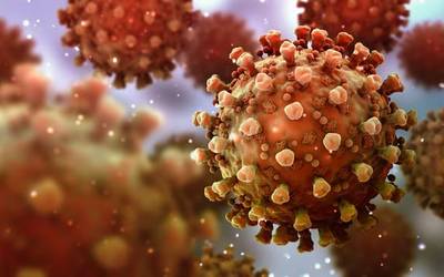 Bigarren egunez jarraian, ez da kasu positiborik atzeman Zumaian