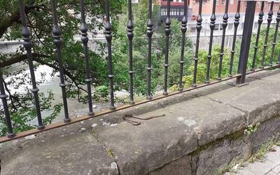 Hainbat suge azaldu dira, ibaitik gora