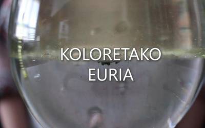 Zientziaenea 4