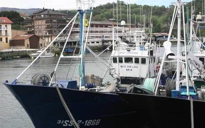 Arrantzaleak haserre, antxoa prezio baxuan saldu dutelako