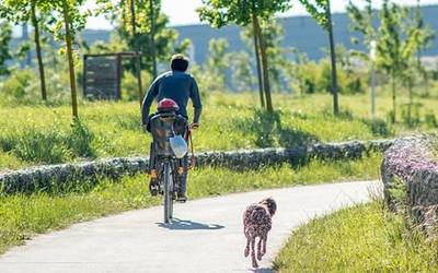 Gogoz hartu dute herritarrek kalera irtetzeko aukera