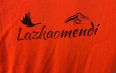 Aurtengo Lazkaomendiko festak, bideo modura