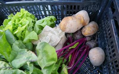 Aizkorpe Kontsumo Taldera batu dira Idiazabalen, bertako produktuak kontsumitu nahian