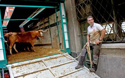 Andoni Mugertza: “Egoera larria da, ez dakigu animaliak kendu edo zer egin”