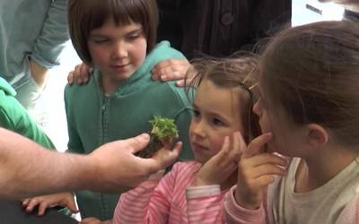 Beasaingo hileko lehen larunbateko bertako produktuen azoka itzuli da