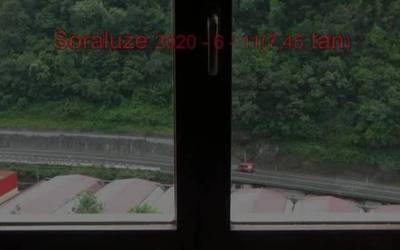 Iratzargailu biziduna