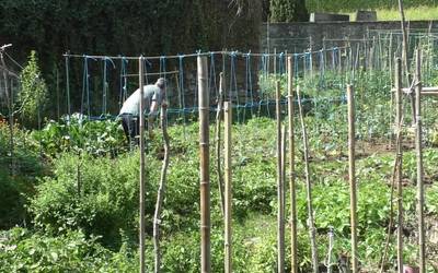 Ordiziako udalak baratze parkean eginiko handitzearen ostean 24 lurzati berri eskaini dituzte