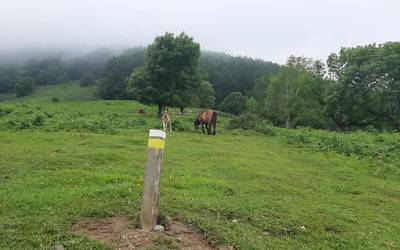 Kornietako bidea txukundu eta seinaleztapena berritu du leitzar batek