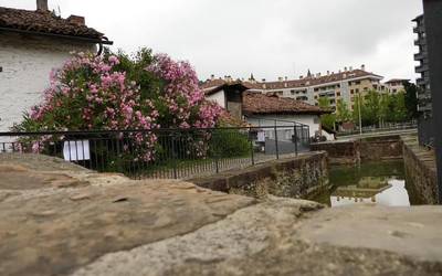 Igartza Multzoko aldaparoa txukundu dute