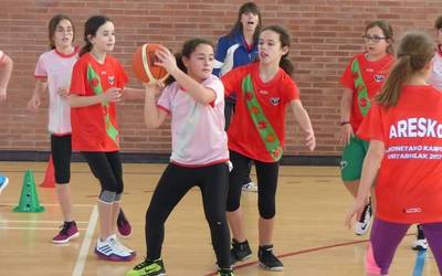 Lau asteko saskibaloi kanpusa antolatu du Aresko Saskibaloi Eskolak