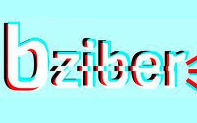 “Bziber”, Bizkaiko 11 eta 13 urte bitartekoentzako sareko erronka digitala