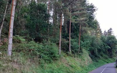 Bihar, astelehena, bidegorria itxita