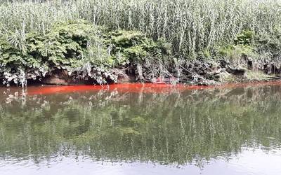 BIDEOA: Isurketa Urola ibaian, Oikia parean