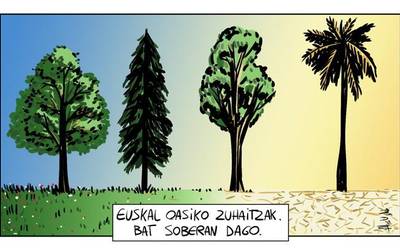 Euskal oasiko zuhaitzak
