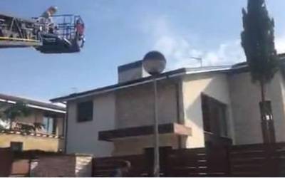 Liztor asiarren habia kendu behar izan zuten etxebizitza batean suhiltzaileek